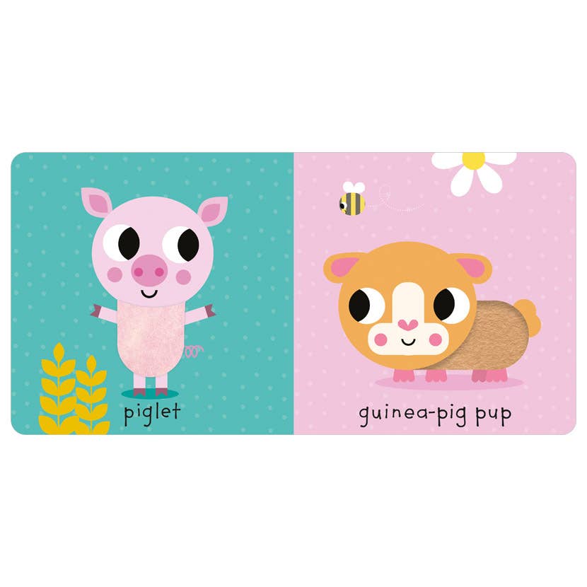 Touch and Explore: Baby Animals