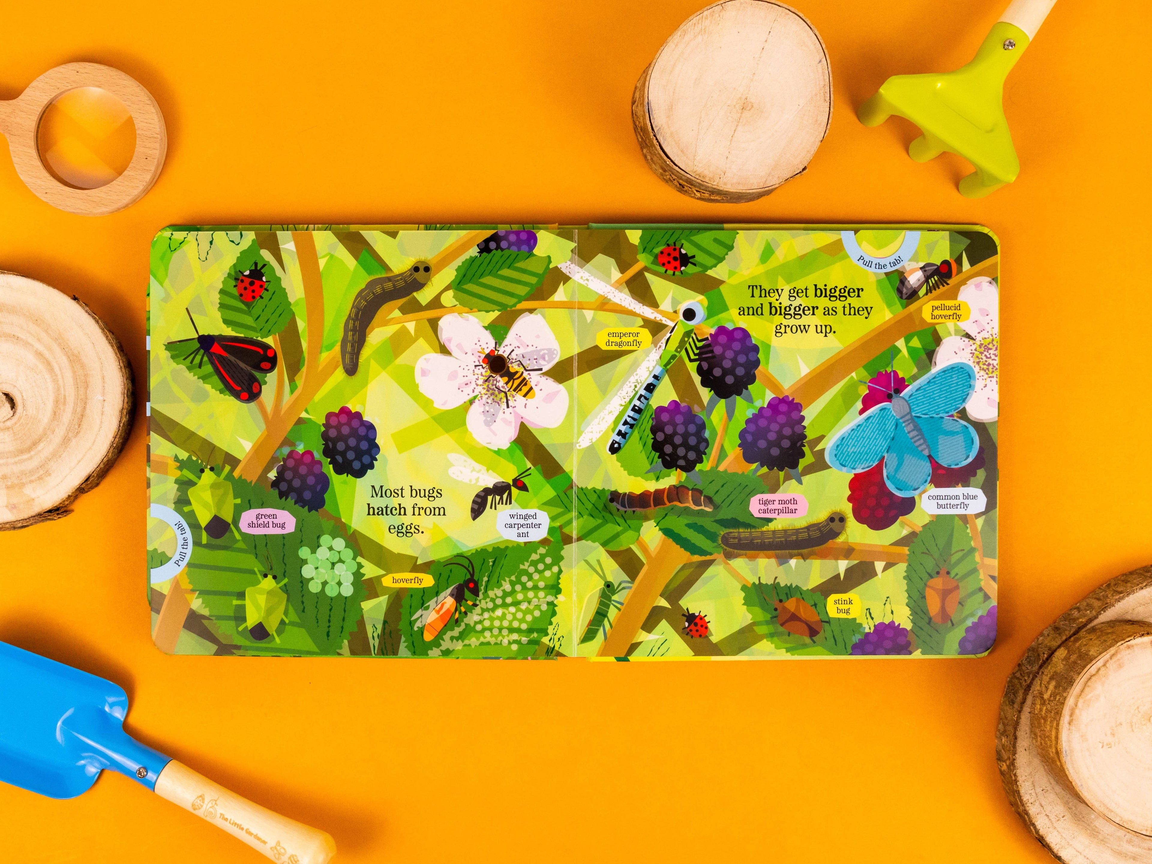 Brilliant Bugs and Minibeasts