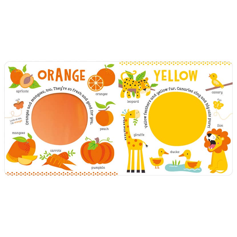 My First Book of Colours
