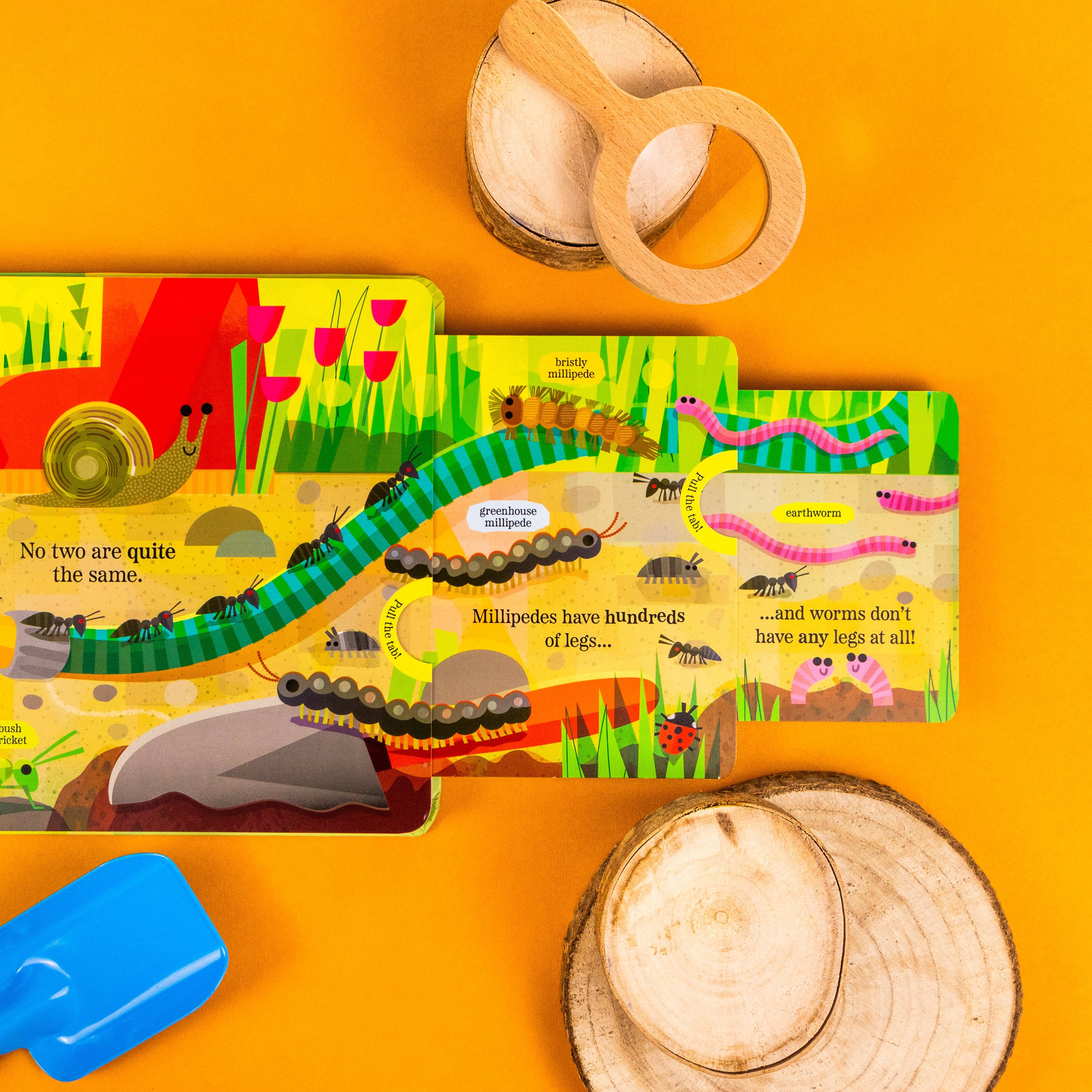 Brilliant Bugs and Minibeasts