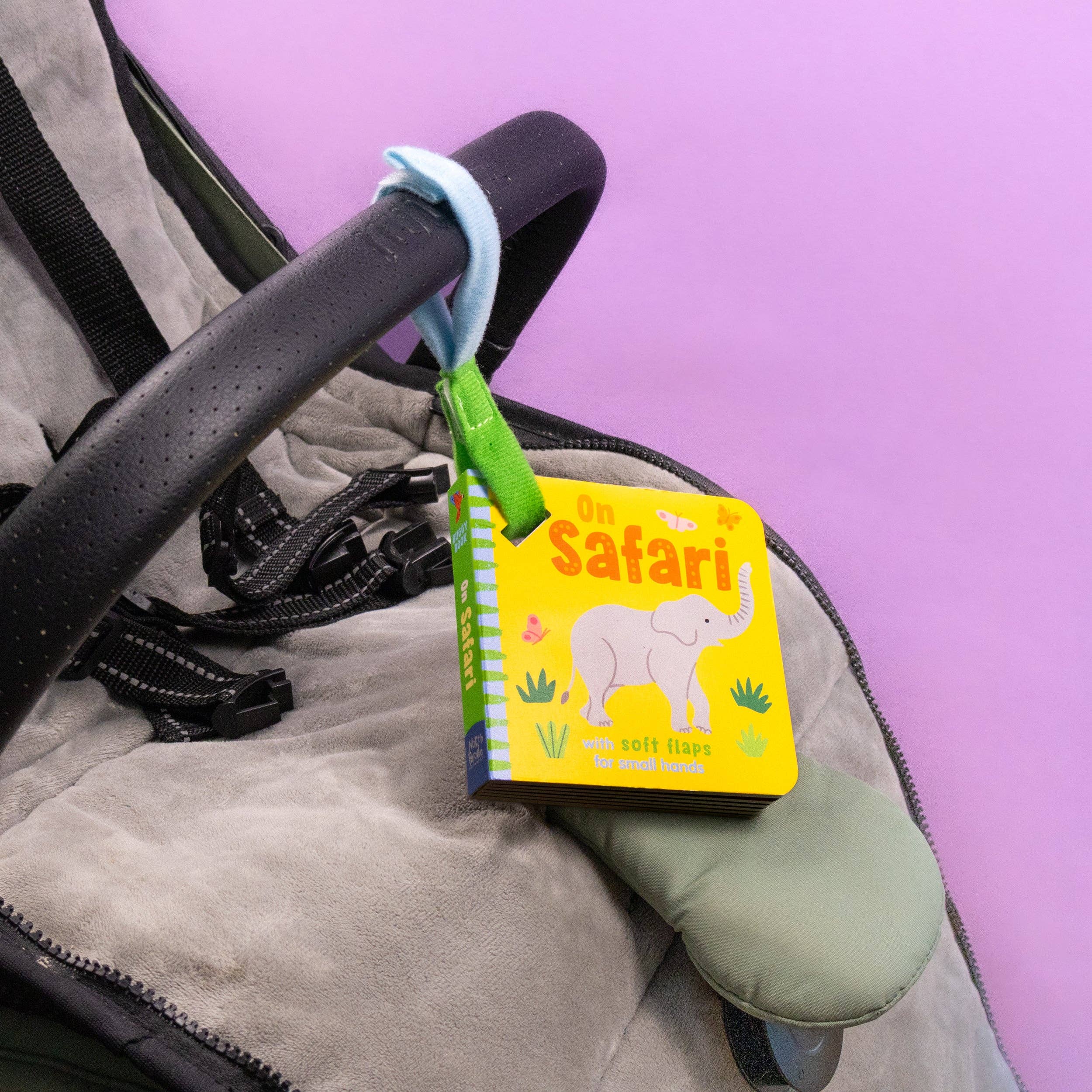 Buggy Book - On Safari