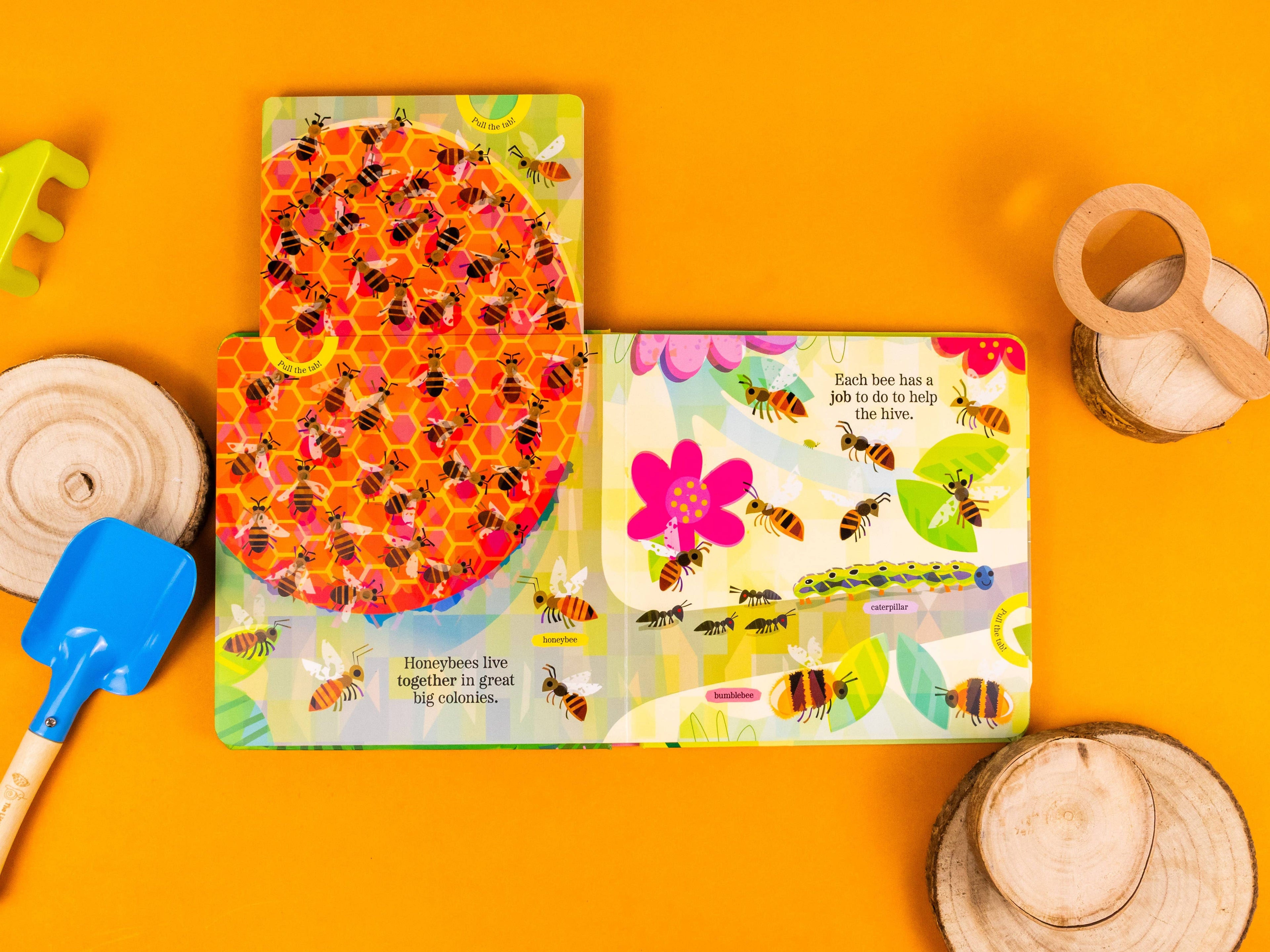 Brilliant Bugs and Minibeasts