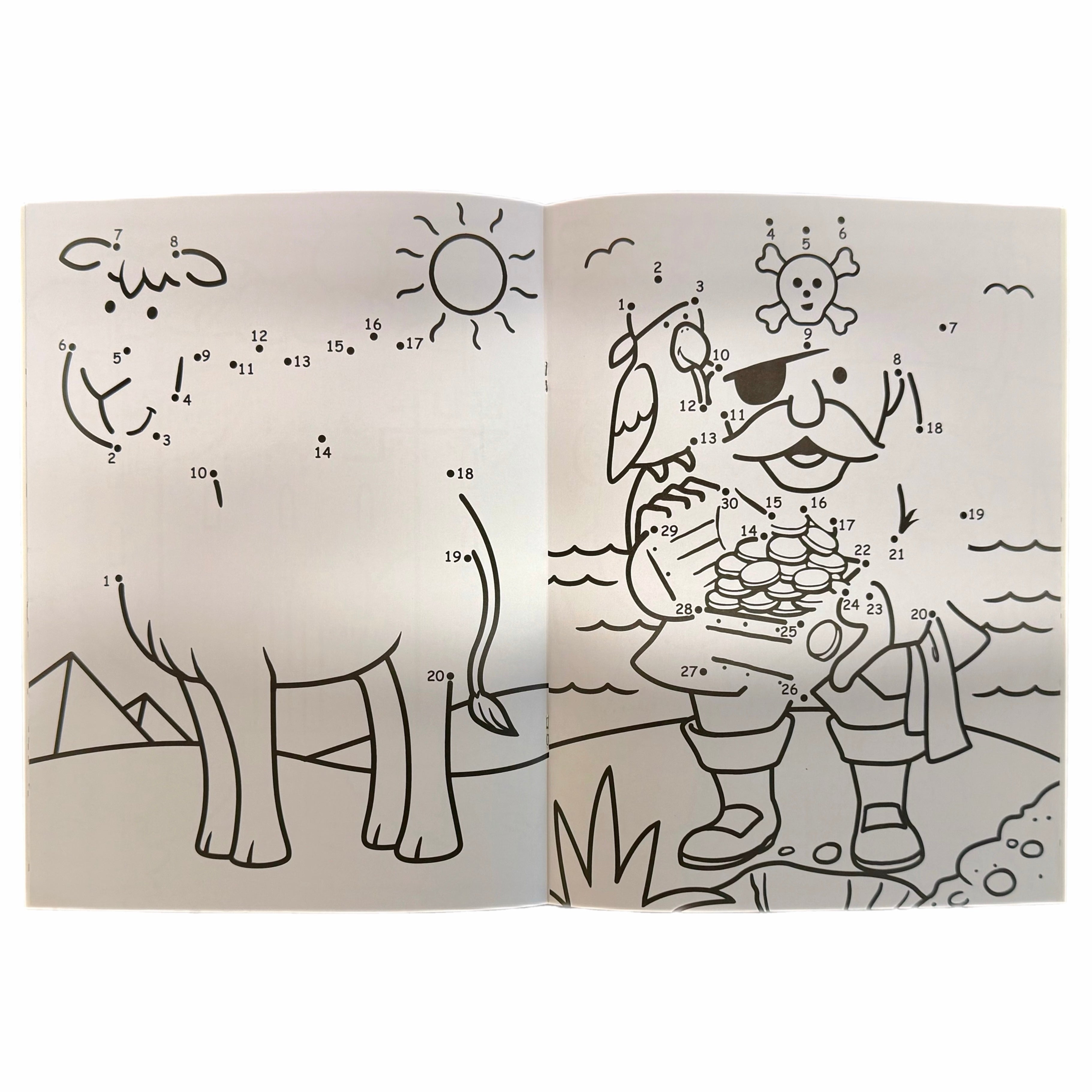Dot to Dot Activity Book