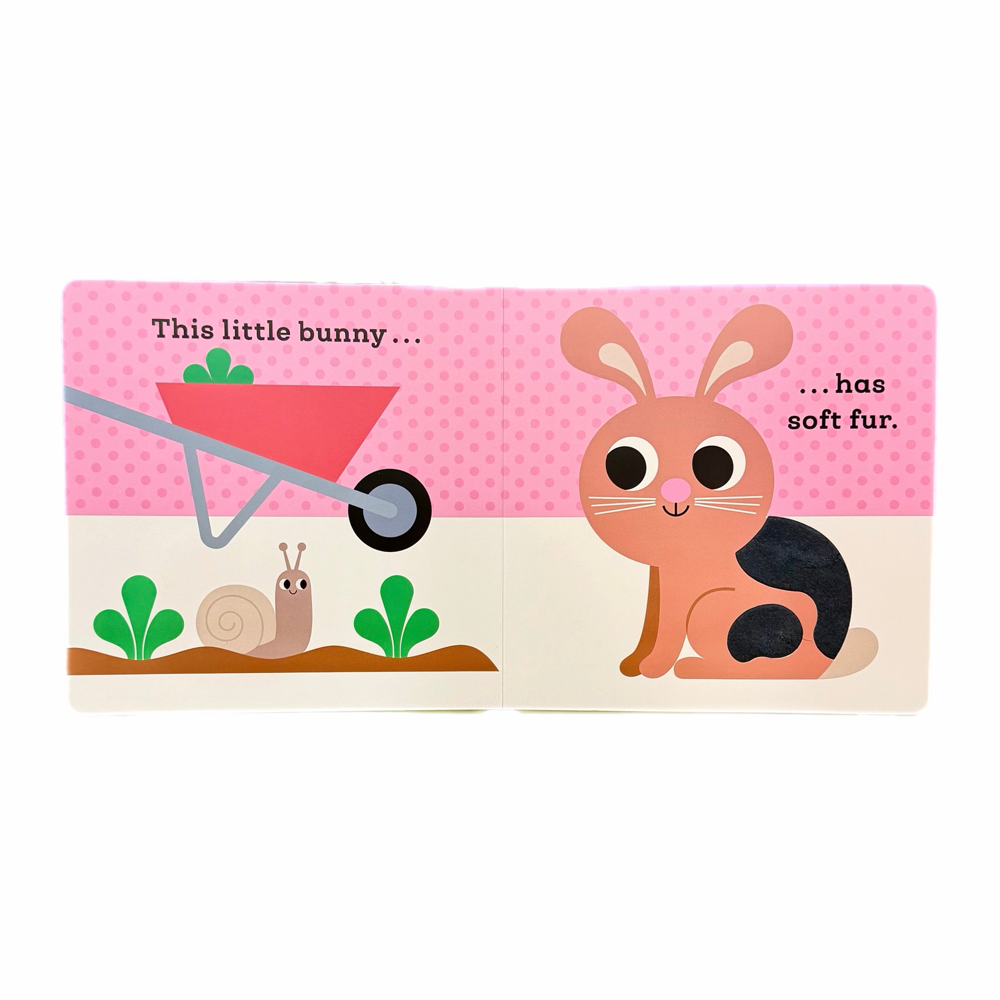 This Little Bunny