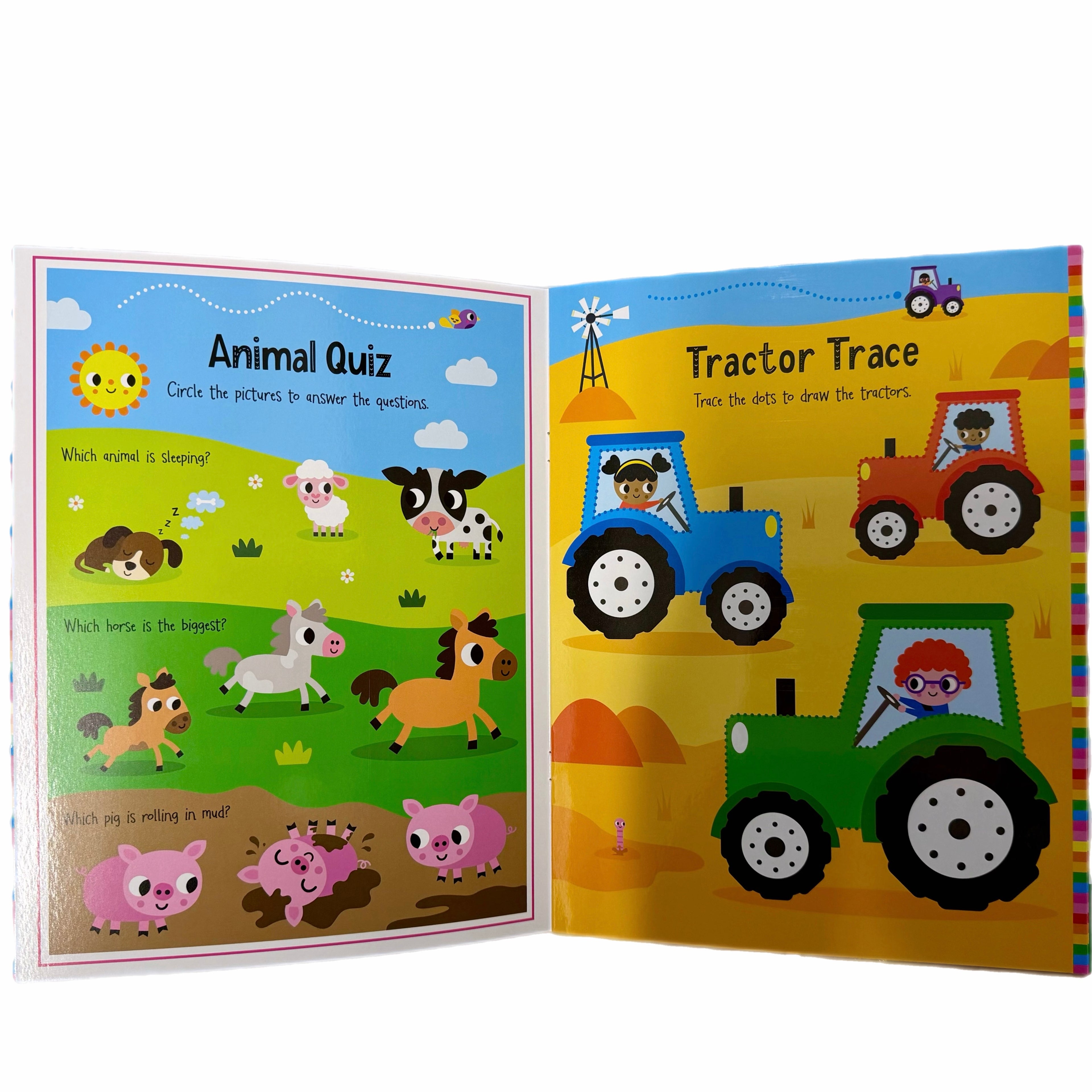 Farm Animals Activity Book (Wipe Clean)
