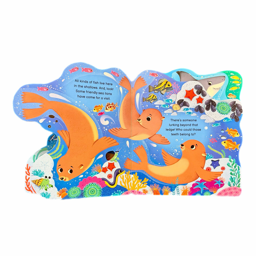 Who’s in the Ocean Today?