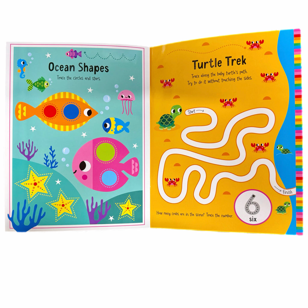 Wild Animals Activity Book (Wipe Clean)