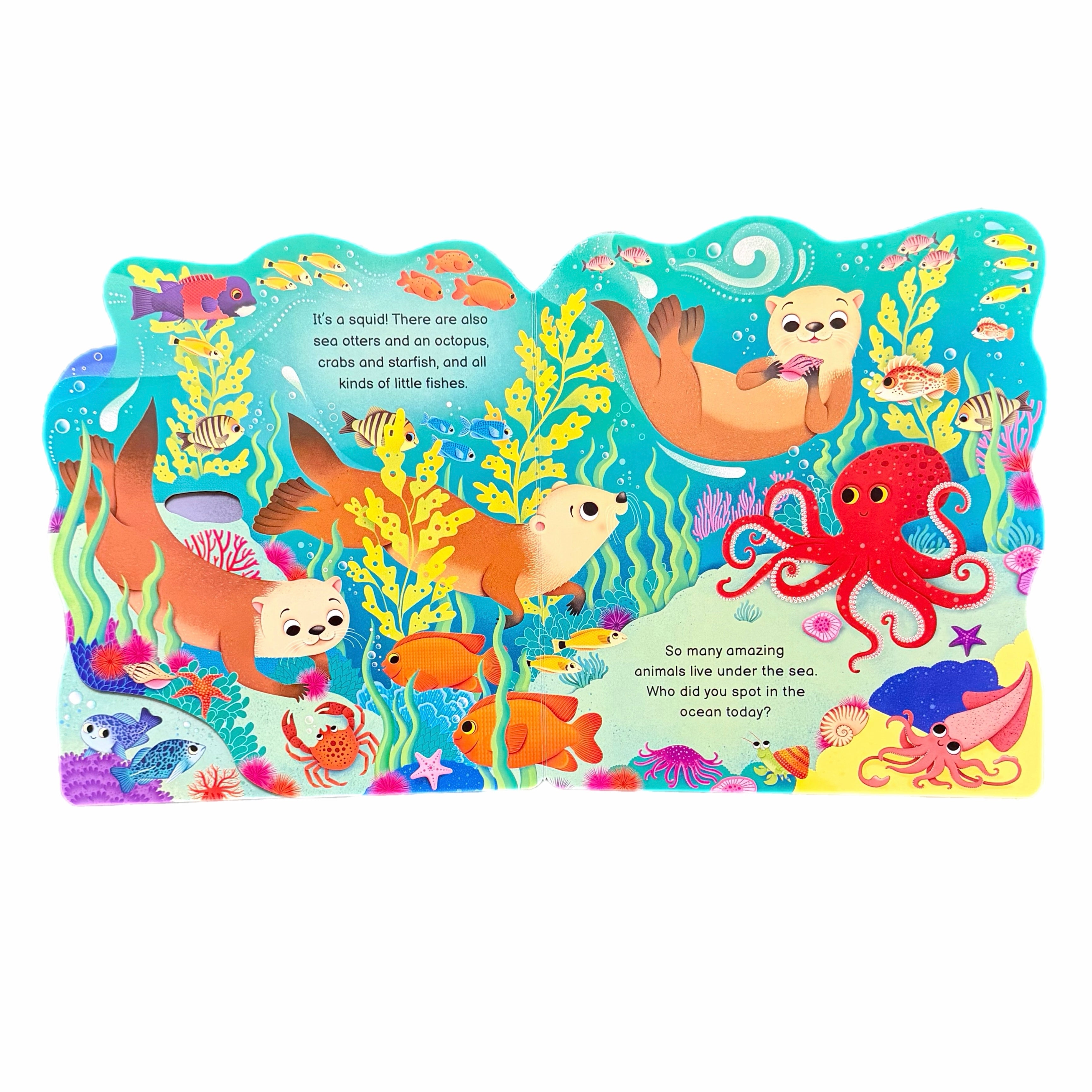 Who’s in the Ocean Today?