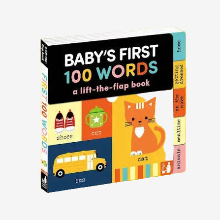 Baby's First 100 Words