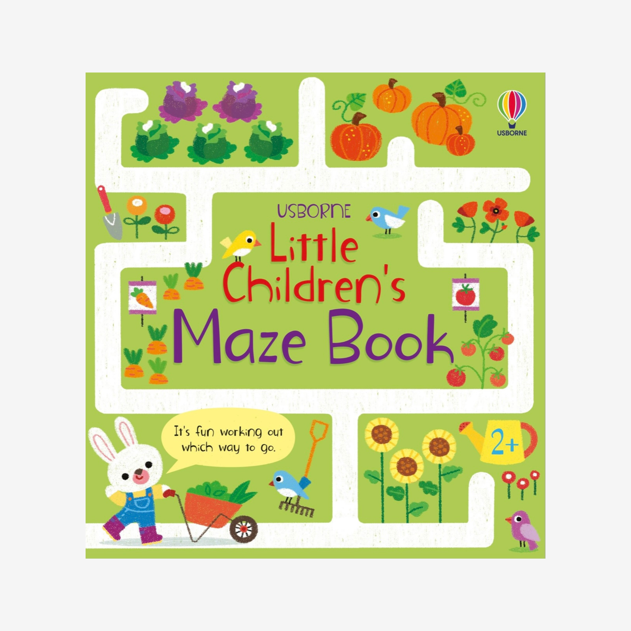 Little Children's Maze Book