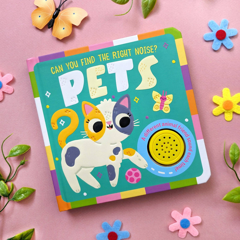 Can You Find The Right Noise? - Pets