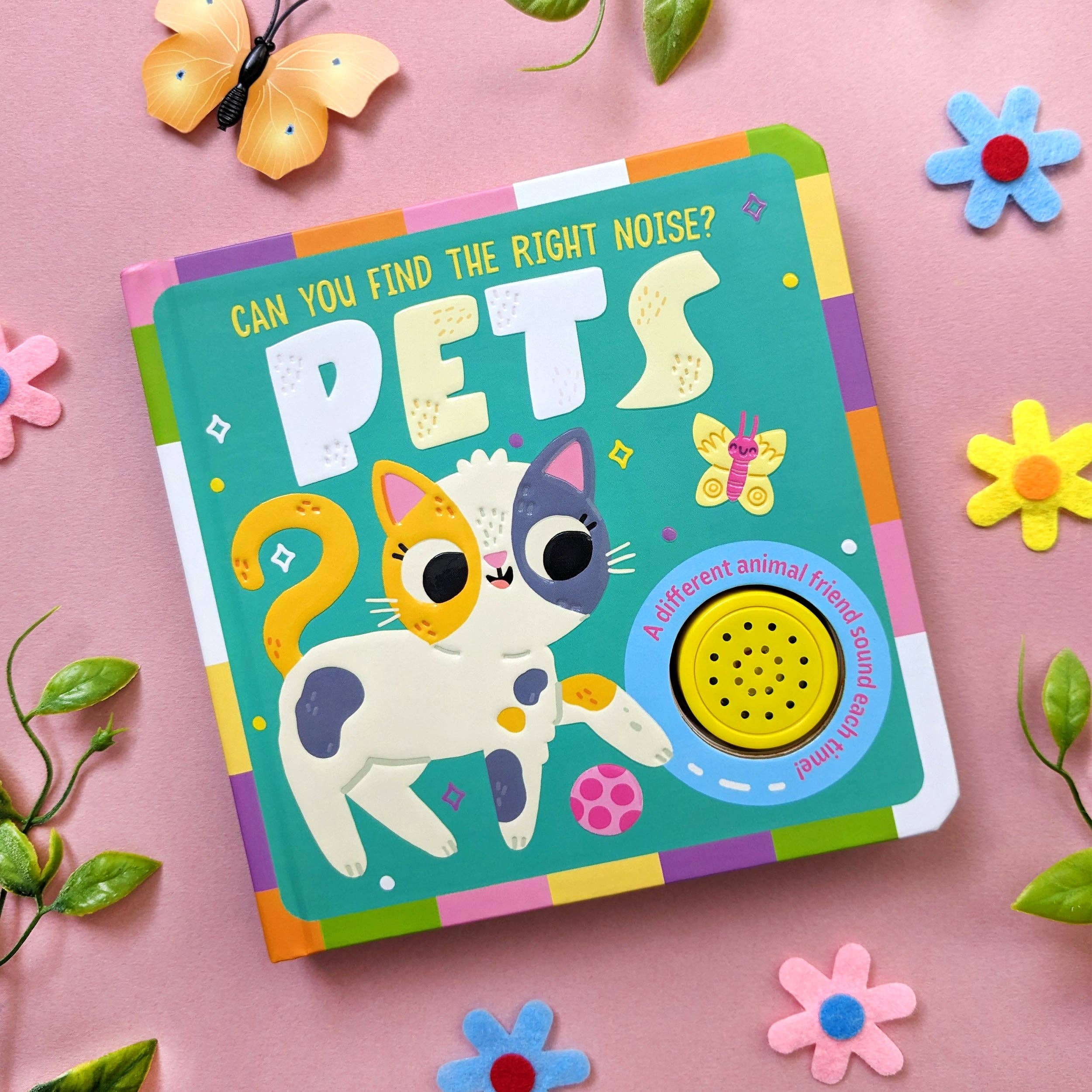 Can You Find The Right Noise? - Pets